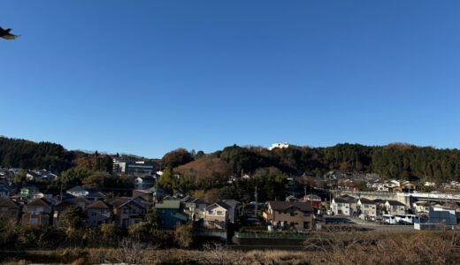 日記251205(金)晴^曇12〜-2℃