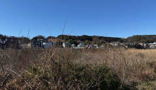 日記260106(火)晴1~11℃