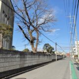 日記260120(水)晴0~10℃