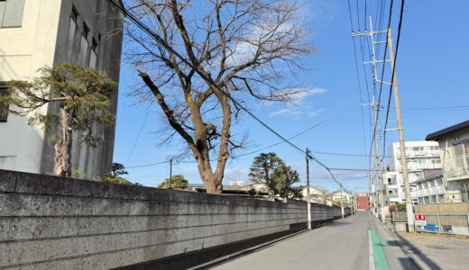 日記260120(水)晴0~10℃