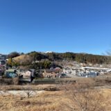 日記260201(日)晴