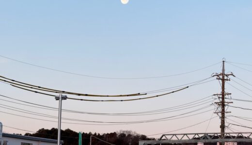 日記260204(水)晴^曇-3〜11℃