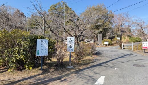 日記260213(金)天覧山登頂記
