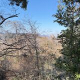 日記260214(土)晴-1〜15℃