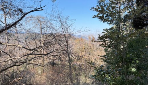 日記260214(土)晴-1〜15℃