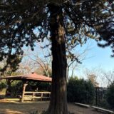 日記250215(日)晴2〜18℃