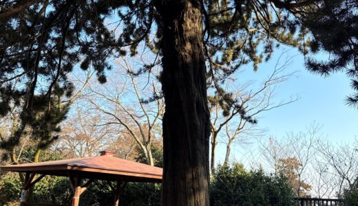 日記250215(日)晴2〜18℃