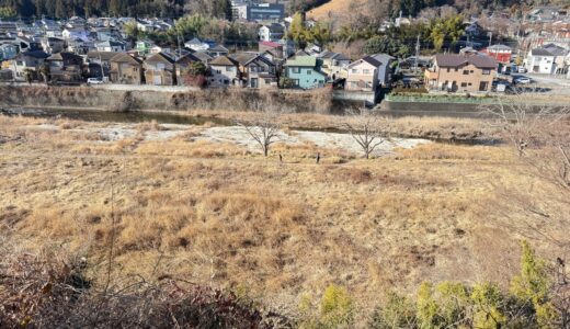 日記260219(木)晴 0〜10℃