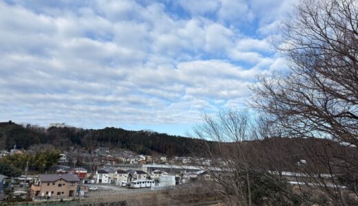 日記260220(金)曇^晴-2〜10℃