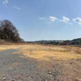 日記260223(月)晴^曇6〜22℃