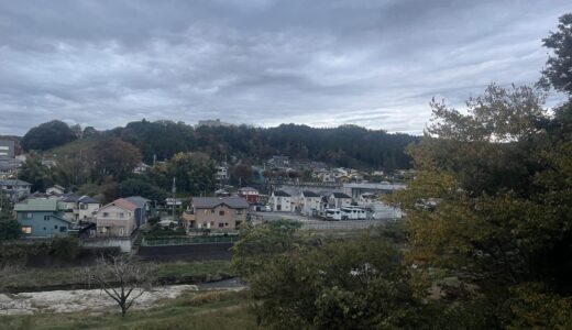 日記241118(月)小雨 曇 晴