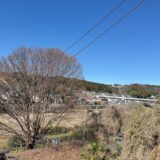 日記260314(土)曇^晴4〜15℃