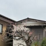 日記260315(日)晴1〜15℃