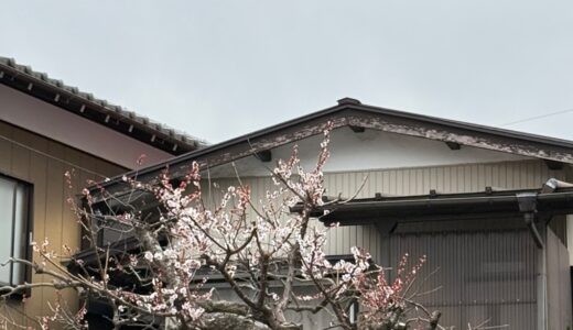 日記260315(日)晴1〜15℃