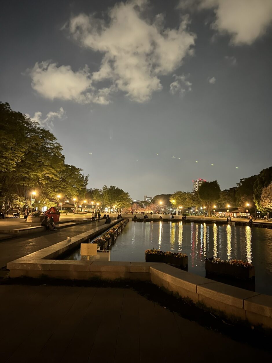 上野公園噴水の夜景