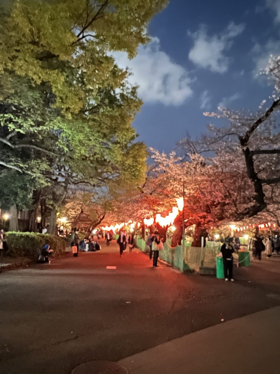 上野恩賜公園の桜満開