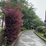 隅田川散歩道