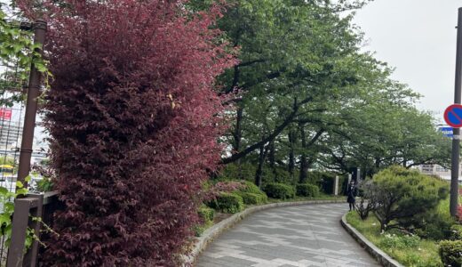 平和主義 転換の恐れ