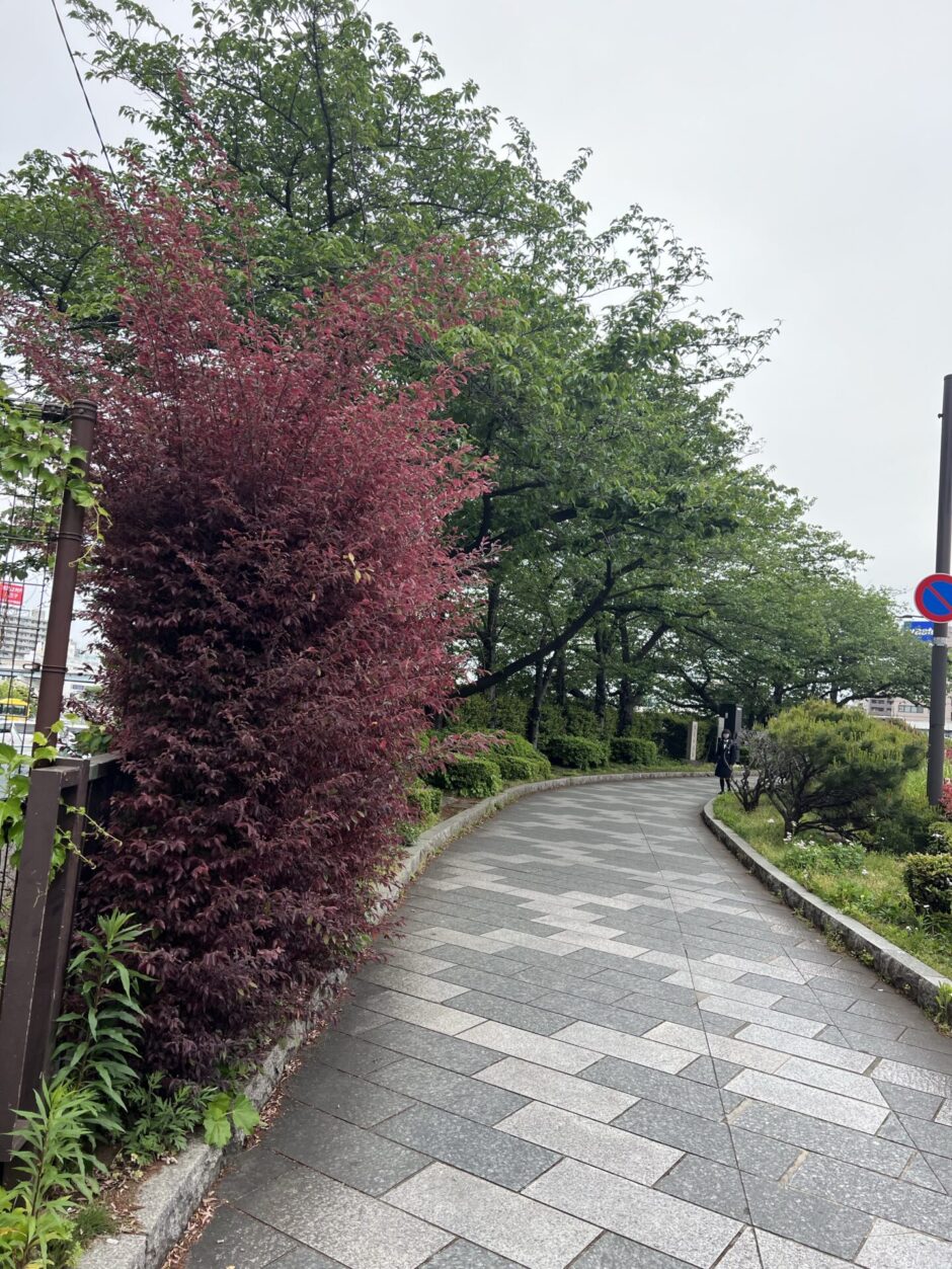 隅田川散歩道