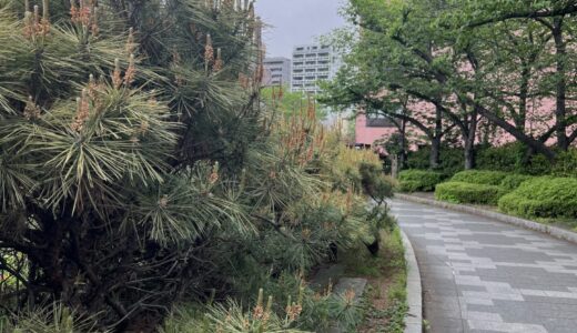 日記 札幌に向かう