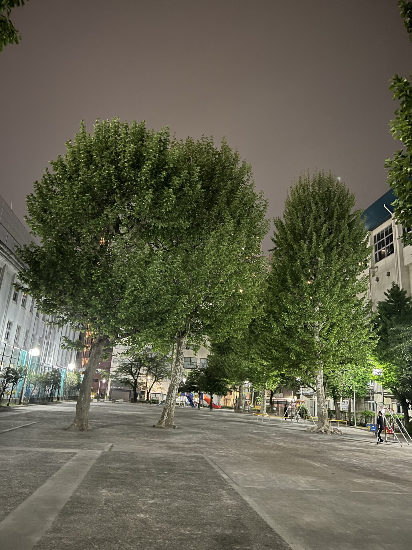 夜の城北公園